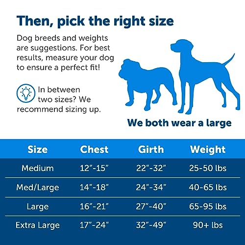 PetSafe Easy Walk No-Pull Dog Harness - The Ultimate Harness to Help Stop Pulling - Take Control & Teach Better Leash Manners - Helps Prevent Pets Pulling on Walks - Medium/Large, Royal Blue/Navy Blue