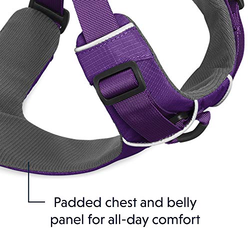 RUFFWEAR - Front Range Dog Harness, Reflective and Padded Harness for Training and Everyday, Tillandsia Purple (2017), Large/X-Large