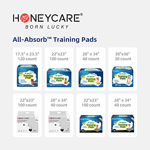HONEY CARE All-Absorb A07 Bulk Packaging Training Pads, Blue, Large - 22" x 23" 200ct