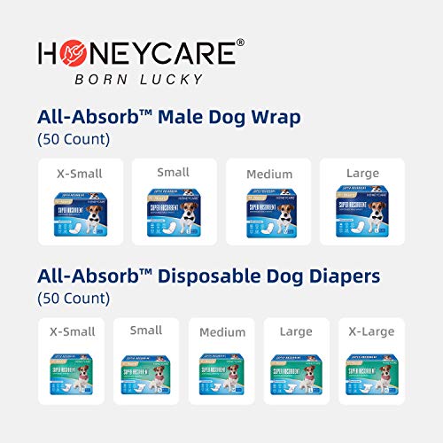 HONEY CARE All-Absorb A07 Bulk Packaging Training Pads, Blue, Large - 22" x 23" 200ct