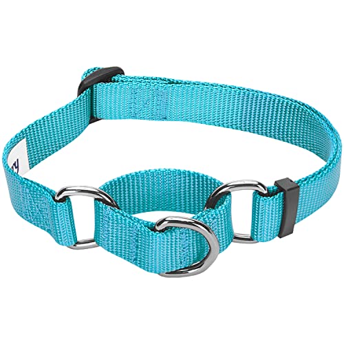 Blueberry Pet Essentials Martingale Safety Training Dog Collar, Turquoise, Medium, Heavy Duty Nylon Adjustable Collars for Dogs