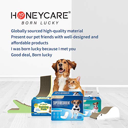 HONEY CARE All-Absorb A07 Bulk Packaging Training Pads, Blue, Large - 22" x 23" 200ct