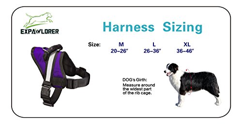 EXPAWLORER Big Dog Soft Reflective No Pull Purple Harness Size L 26-36inch