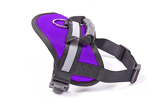 EXPAWLORER Big Dog Soft Reflective No Pull Purple Harness Size L 26-36inch