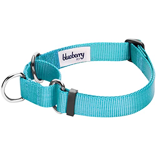Blueberry Pet Essentials Martingale Safety Training Dog Collar, Turquoise, Medium, Heavy Duty Nylon Adjustable Collars for Dogs