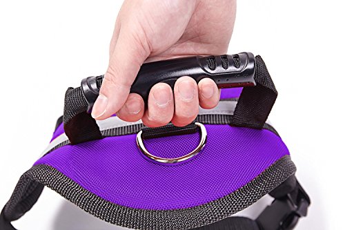 EXPAWLORER Big Dog Soft Reflective No Pull Purple Harness Size L 26-36inch