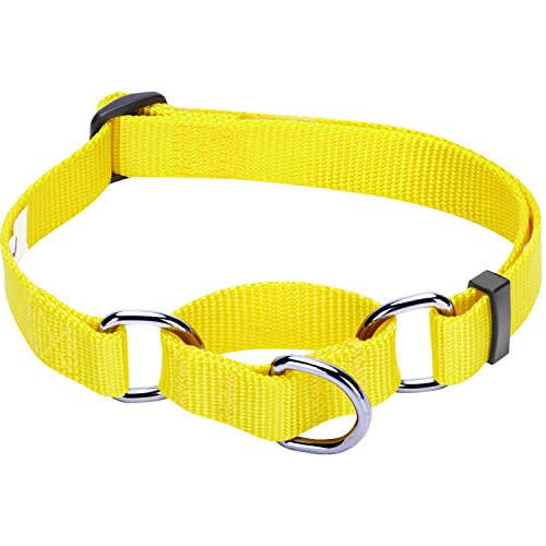 Blueberry Pet Essentials Martingale Safety Training Dog Collar, Blazing Yellow, Large, Heavy Duty Nylon Adjustable Collars for Dogs