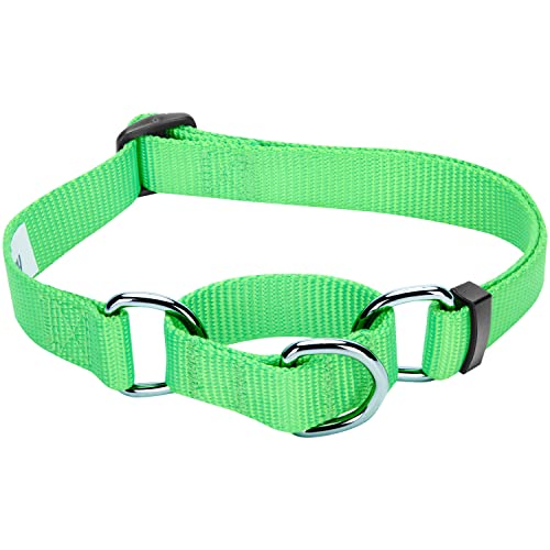 Blueberry Pet Essentials Martingale Safety Training Dog Collar, Neon Green, X-Small, Heavy Duty Nylon Adjustable Collars for Dogs