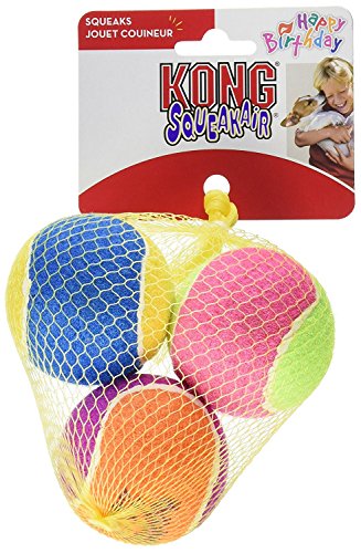 KONG Air Dog Squeakair Birthday Balls Dog Toy, Medium, Colors Vary (6 Balls)