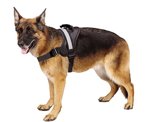 EXPAWLORER Big Dog Harness Soft Reflective No Pull Black Size M 20-26inch