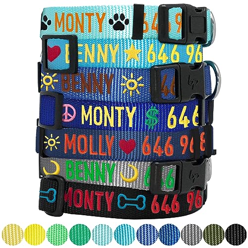 Blueberry Pet Essentials Personalized Dog Collar, Turquoise, Small, Adjustable Customized ID Collars for Small Dogs Embroidered with Pet Name & Phone Number