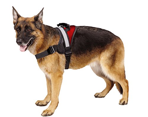 EXPAWLORER Big Dog Soft Reflective No Pull Red Harness Size L 26-36inch