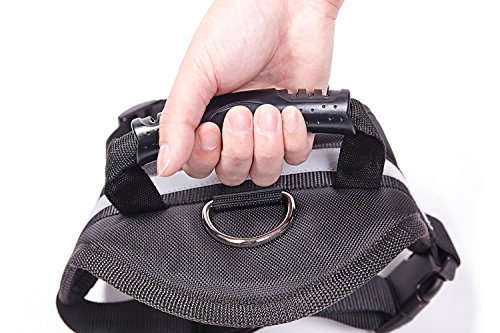 EXPAWLORER Big Dog Harness Soft Reflective No Pull Black Size M 20-26inch