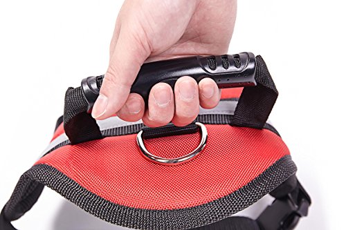 EXPAWLORER Big Dog Soft Reflective No Pull Red Harness Size L 26-36inch