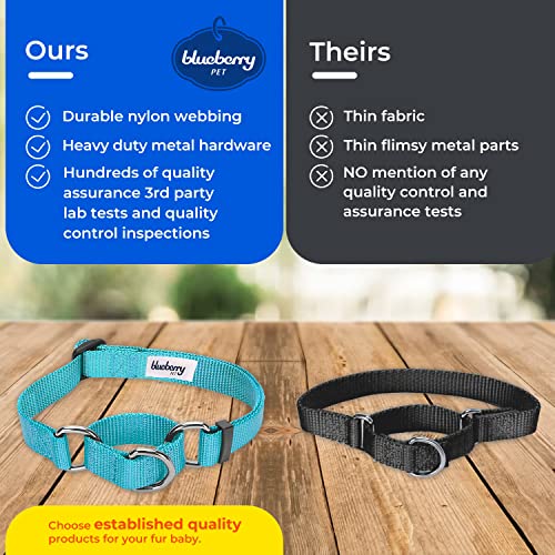 Blueberry Pet Essentials Martingale Safety Training Dog Collar, Mint Blue, Large, Heavy Duty Nylon Adjustable Collars for Dogs