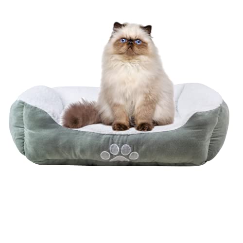 long rich Rectangle Bolster Pet Bed, Dog Bed Medium Size, Turquoise