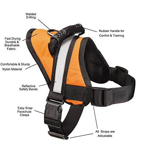 EXPAWLORER Big Dog Soft Reflective No Pull Orange Harness Size M 20-26inch