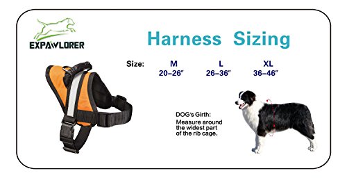 EXPAWLORER Big Dog Soft Reflective No Pull Orange Harness Size M 20-26inch