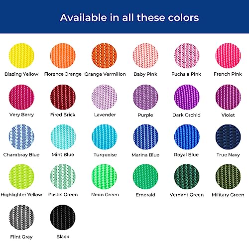 Blueberry Pet Essentials 21 Colors Classic Dog Collar, Baby Pink, Large, Neck 18"-26", Nylon Collars for Dogs