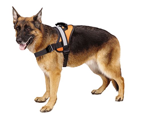 Big Dog Harness Soft Reflective No Pull Orange Size L 26-36inch