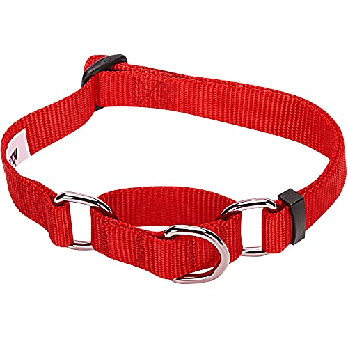 Blueberry Pet Essentials Martingale Safety Training Dog Collar, Rouge Red, X-Small, Heavy Duty Nylon Adjustable Collars for Dogs
