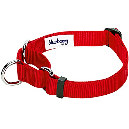 Blueberry Pet Essentials Martingale Safety Training Dog Collar, Rouge Red, X-Small, Heavy Duty Nylon Adjustable Collars for Dogs