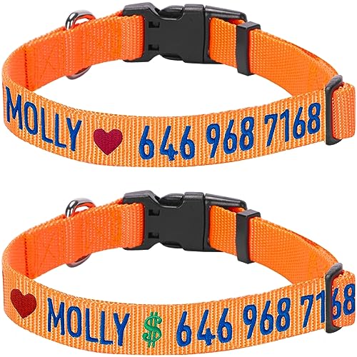 Blueberry Pet Essentials Personalized Dog Collar, Florence Orange, Medium, Adjustable Customized ID Collars for Medium Dogs Embroidered with Pet Name & Phone Number