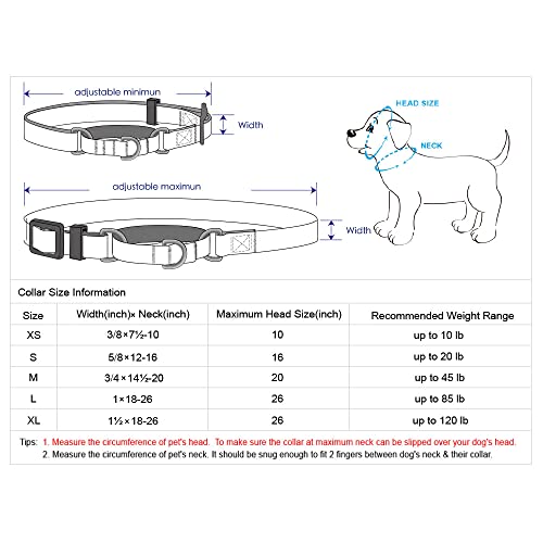 Blueberry Pet Essentials Martingale Safety Training Dog Collar, Turquoise, Large, Heavy Duty Nylon Adjustable Collars for Dogs