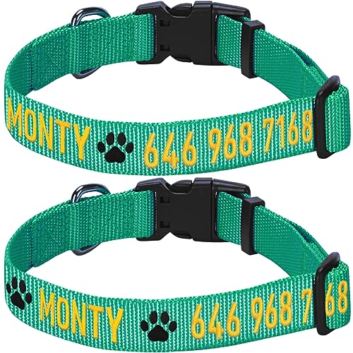 Blueberry Pet Essentials Personalized Dog Collar, Emerald, Small, Adjustable Customized ID Collars for Small Dogs Embroidered with Pet Name & Phone Number
