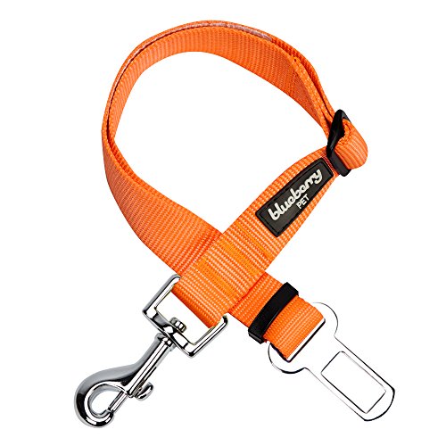 Blueberry Pet Classic Dog Seat Belt Tether for Dogs Cats, Florence Orange, Durable Safety Car Vehicle Seatbelts Leads Use with Harness