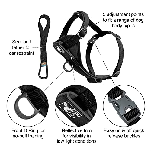 Kurgo Dog Harness | Pet Walking Harness | Medium | Black | No Pull Harness Front Clip Feature for Training Included | Car Seat Belt | Tru-Fit Quick Release Style