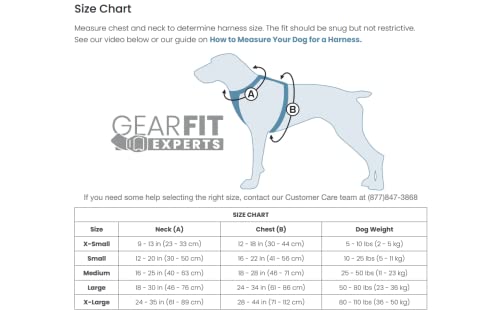 Kurgo Dog Harness | Pet Walking Harness | Medium | Black | No Pull Harness Front Clip Feature for Training Included | Car Seat Belt | Tru-Fit Quick Release Style