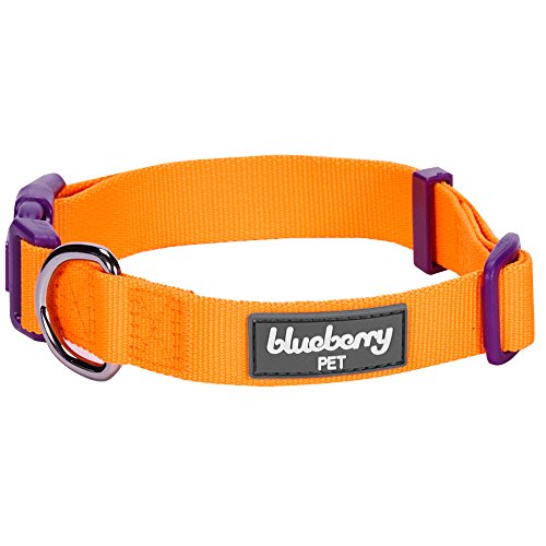 Blueberry Pet Essentials 30 Colors Personalized Dog Collar, Blazing Orange, Medium, Adjustable Customized ID Collars for Medium Dogs Embroidered with Pet Name & Phone Number