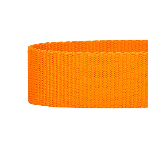 Blueberry Pet Essentials 30 Colors Personalized Dog Collar, Blazing Orange, Medium, Adjustable Customized ID Collars for Medium Dogs Embroidered with Pet Name & Phone Number