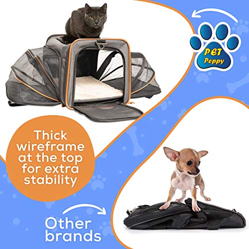Pet Peppy Petpeppy.com The Original Airline Approved Expandable Pet Carrier Two Side Expansion, Designed for Cats, Dogs, Kittens,Puppies - Extra Spacious Soft Sided Carrier! (Black)