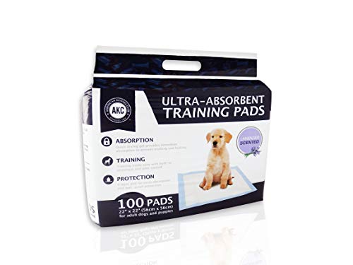 Kennel Club Scented Puppy Training Pads with Ultra Absorbent Quick Dry Gel – 22 x 22 Pee Pads For Dogs - Lavender Scented - Pack of 100
