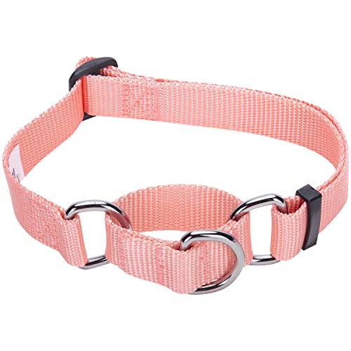 Blueberry Pet Essentials Martingale Safety Training Dog Collar, Baby Pink, Small, Heavy Duty Nylon Adjustable Collars for Dogs