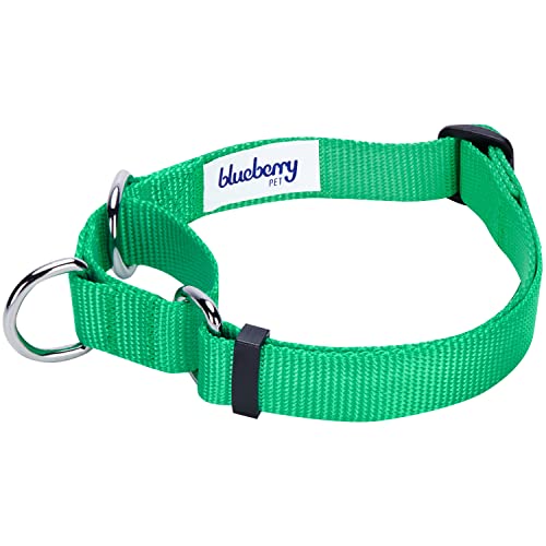 Blueberry Pet Essentials Martingale Safety Training Dog Collar, Emerald, Large, Heavy Duty Nylon Adjustable Collars for Dogs