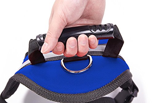 Big Dog Harness Soft Reflective No Pull Blue Size M 20-26inch