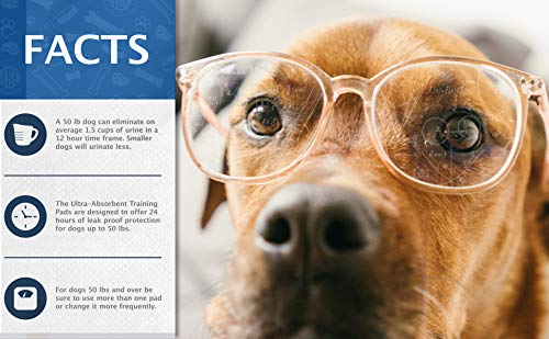 Ultra Absorbent Odor Control Scented Training Pads For Dogs Leak-proof Quick Dry Gel – 22 x 22 Puppy Pads - Fresh Scented - Pack of 150