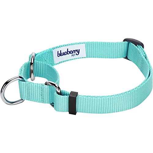 Blueberry Pet Essentials Martingale Safety Training Dog Collar, Mint Blue, Medium, Heavy Duty Nylon Adjustable Collars for Dogs