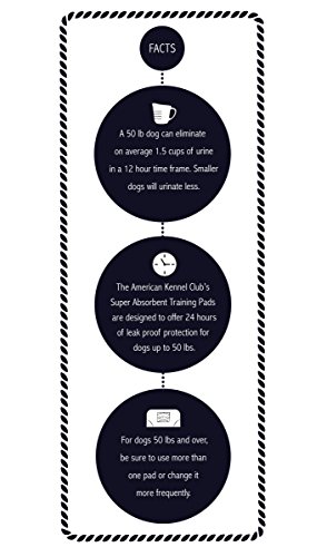 Ultra Absorbent Odor Control Scented Training Pads For Dogs Leak-proof Quick Dry Gel – 22 x 22 Puppy Pads - Fresh Scented - Pack of 150