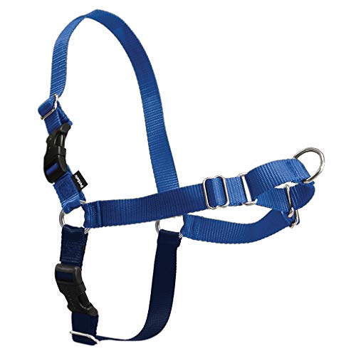 PetSafe Easy Walk Dog Harness, No Pull Dog Harness, Royal Blue/Navy Blue, Petite