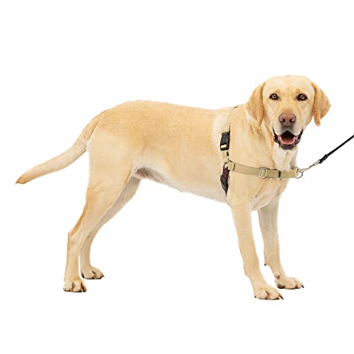 PetSafe Easy Walk Harness, Large, Fawn & Brown for Dogs