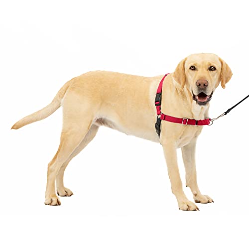 PetSafe Easy Walk No-Pull Dog Harness - The Ultimate Harness to Help Stop Pulling - Take Control & Teach Better Leash Manners - Helps Prevent Pets Pulling on Walks - Large, Red/Black