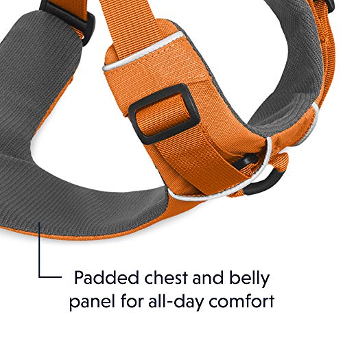 RUFFWEAR - Front Range Dog Harness, Reflective and Padded Harness for Training and Everyday, Orange Poppy (2017), Medium
