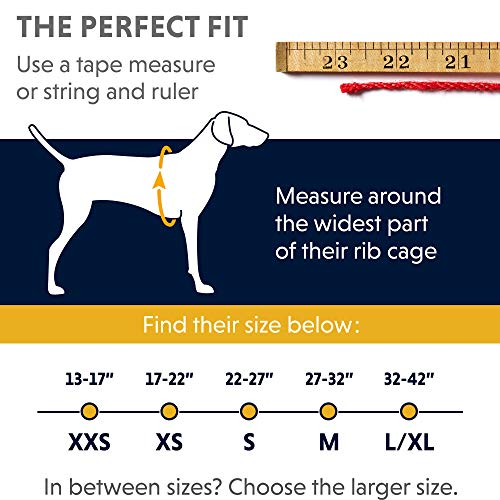 Ruffwear, Front Range Dog Harness, Reflective and Padded Harness for Training and Everyday, Blue Dusk, X-Small