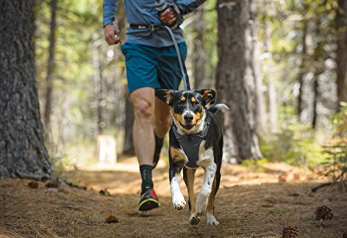 RUFFWEAR - Front Range, Everyday No Pull Dog Harness with Front Clip, Trail Running, Walking, Hiking, All-Day Wear, Twilight Gray (2016), Large/X-Large