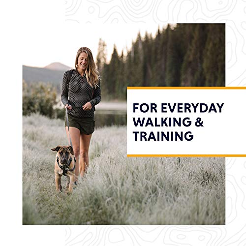 RUFFWEAR - Front Range Dog Harness, Reflective and Padded Harness for Training and Everyday, Twilight Gray (2017), Small