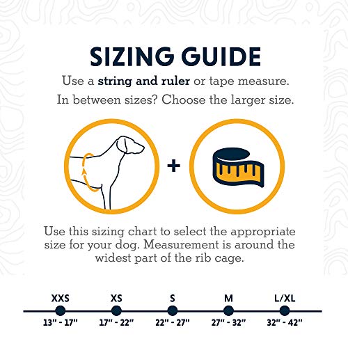 RUFFWEAR - Front Range Dog Harness, Reflective and Padded Harness for Training and Everyday, Twilight Gray (2017), Small